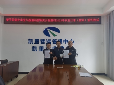 貴州高速集團交通物流集團牽線搭橋，板寨村300畝紫米簽訂單助力鄉村振興