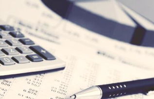 強化信息技術 提升管理會計效能 信息技術咨詢服務的關鍵作用